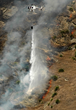 Rural Fire Hawke's Bay